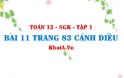 Bài 11 trang 83 Toán 12 tập 1 Cánh Diều